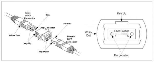 欧孚光缆厂家揭秘MPO光纤跳线结构有哪些